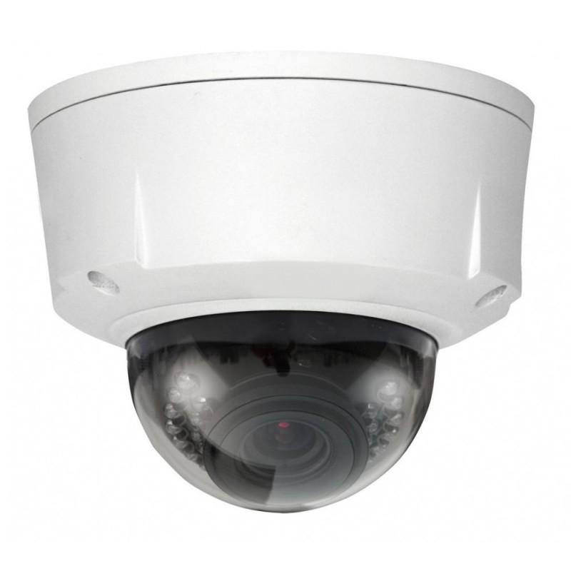 professional security solutions-IP camera
